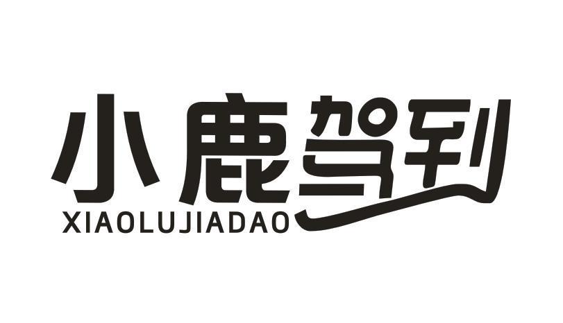 小鹿驾到