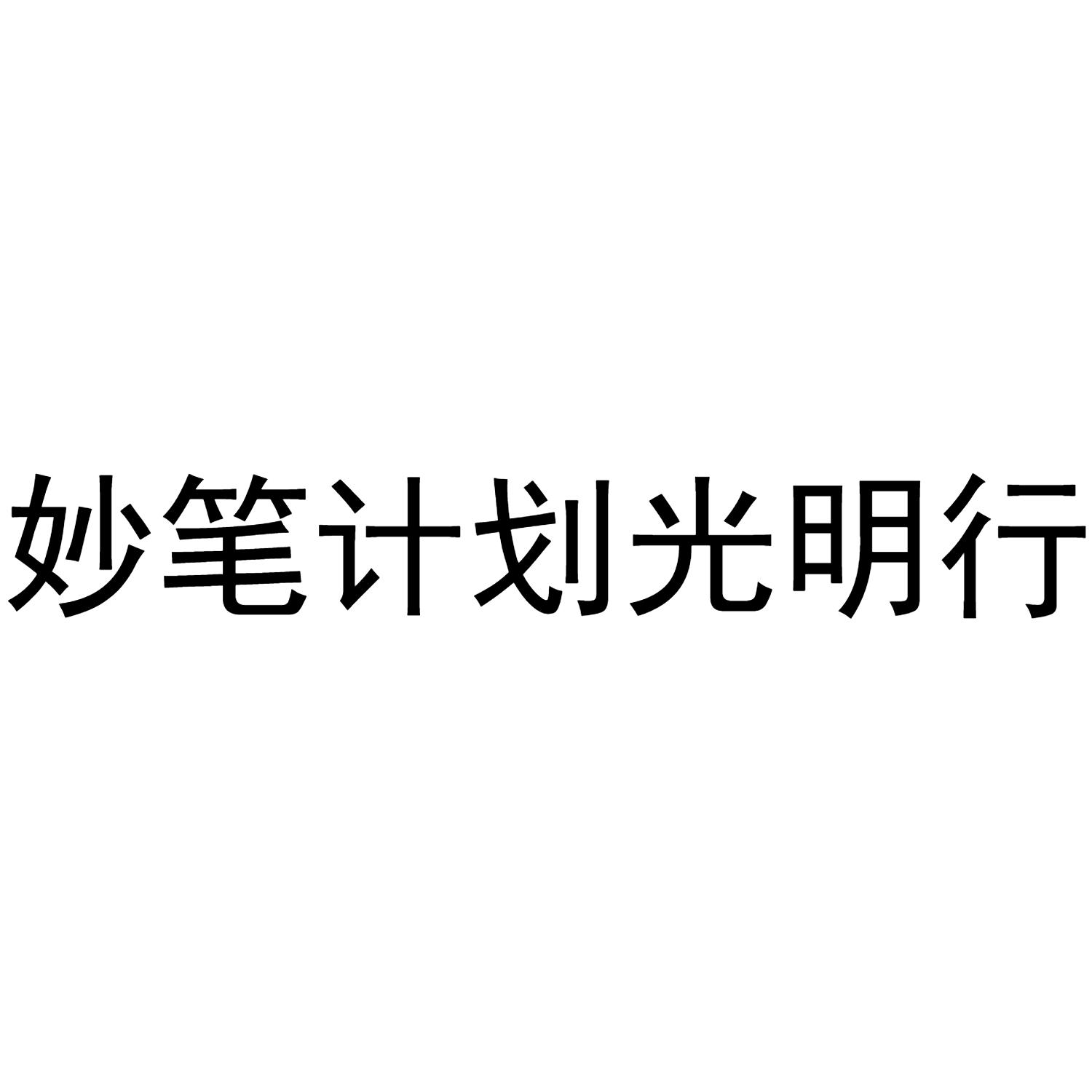 妙笔计划光明行