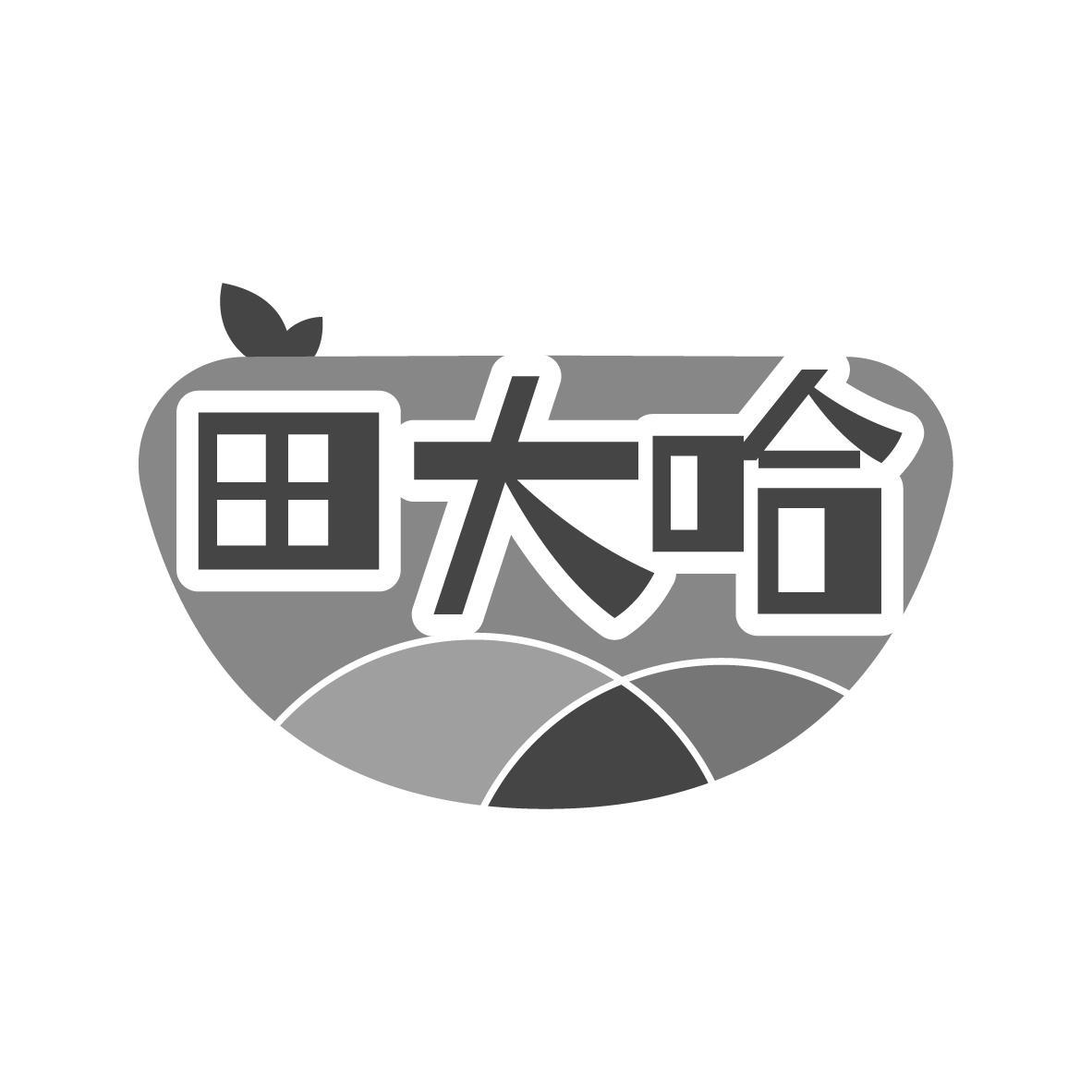  田大哈 