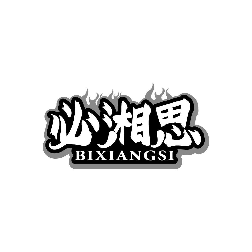 必湘思
BIXIANGSI