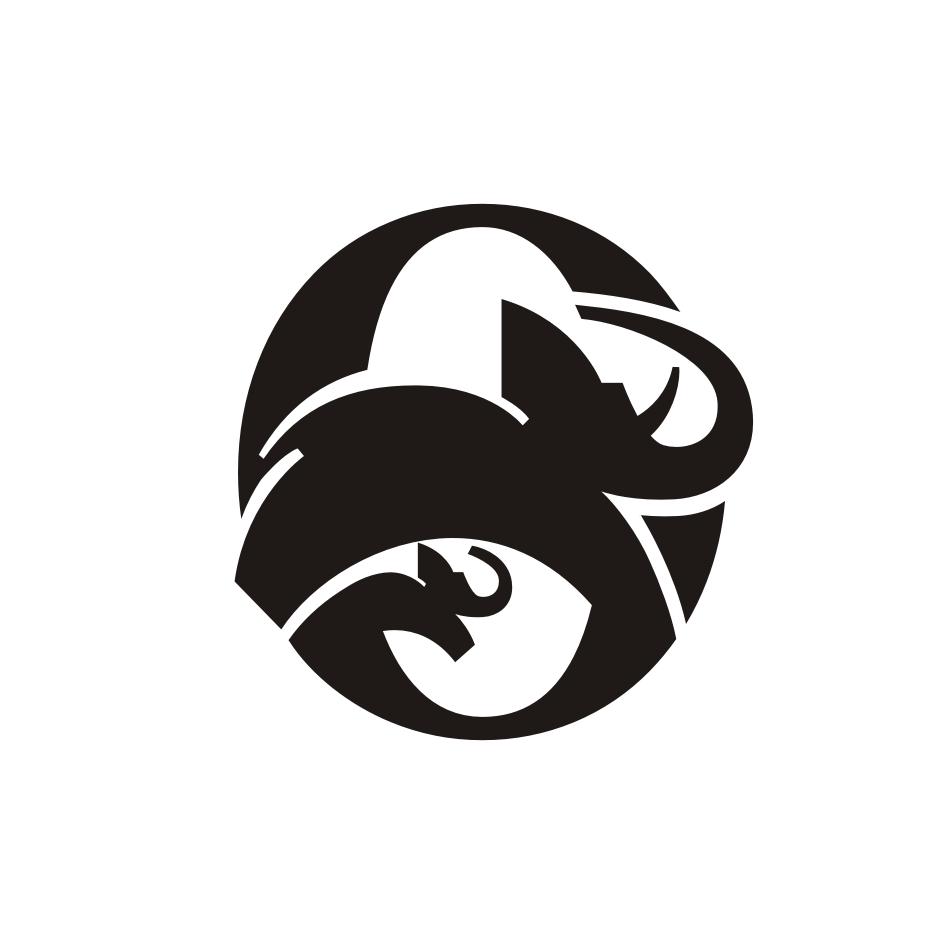 大小象图形