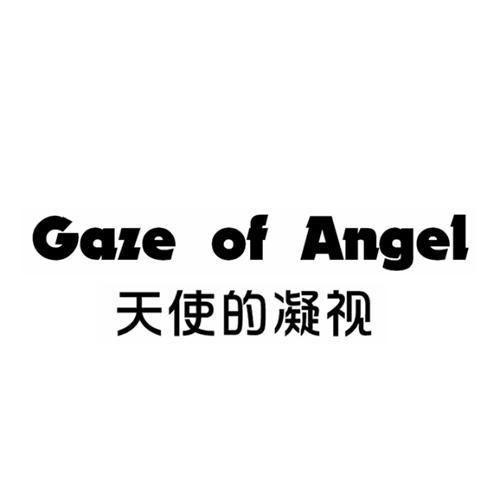 Gaze of Angel             天使的凝视
