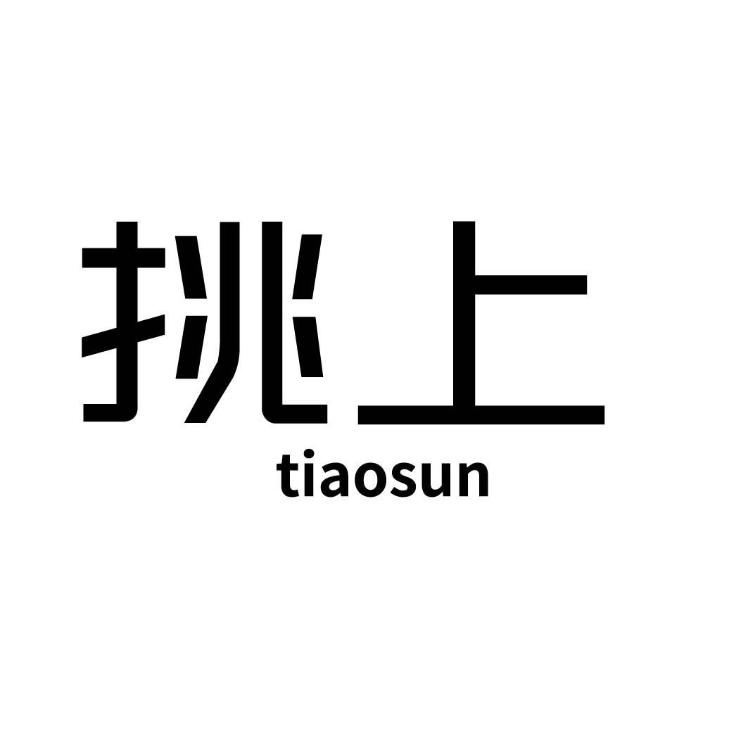  挑上 TIAOSUN