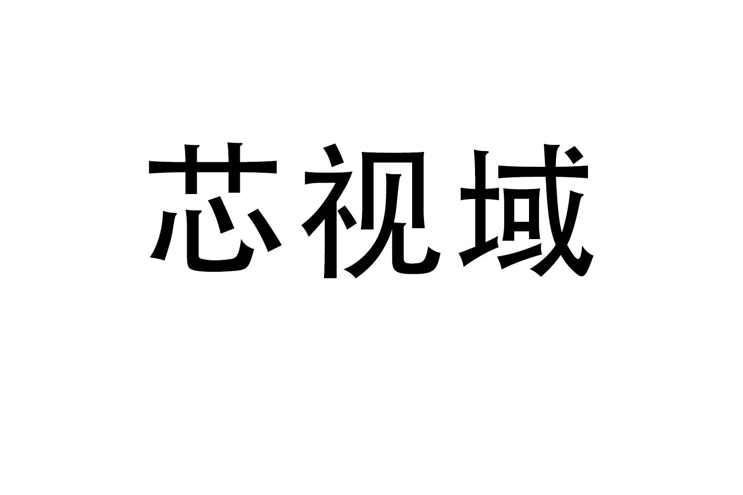 芯视域