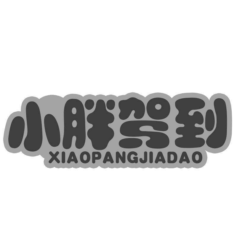 小胖驾到