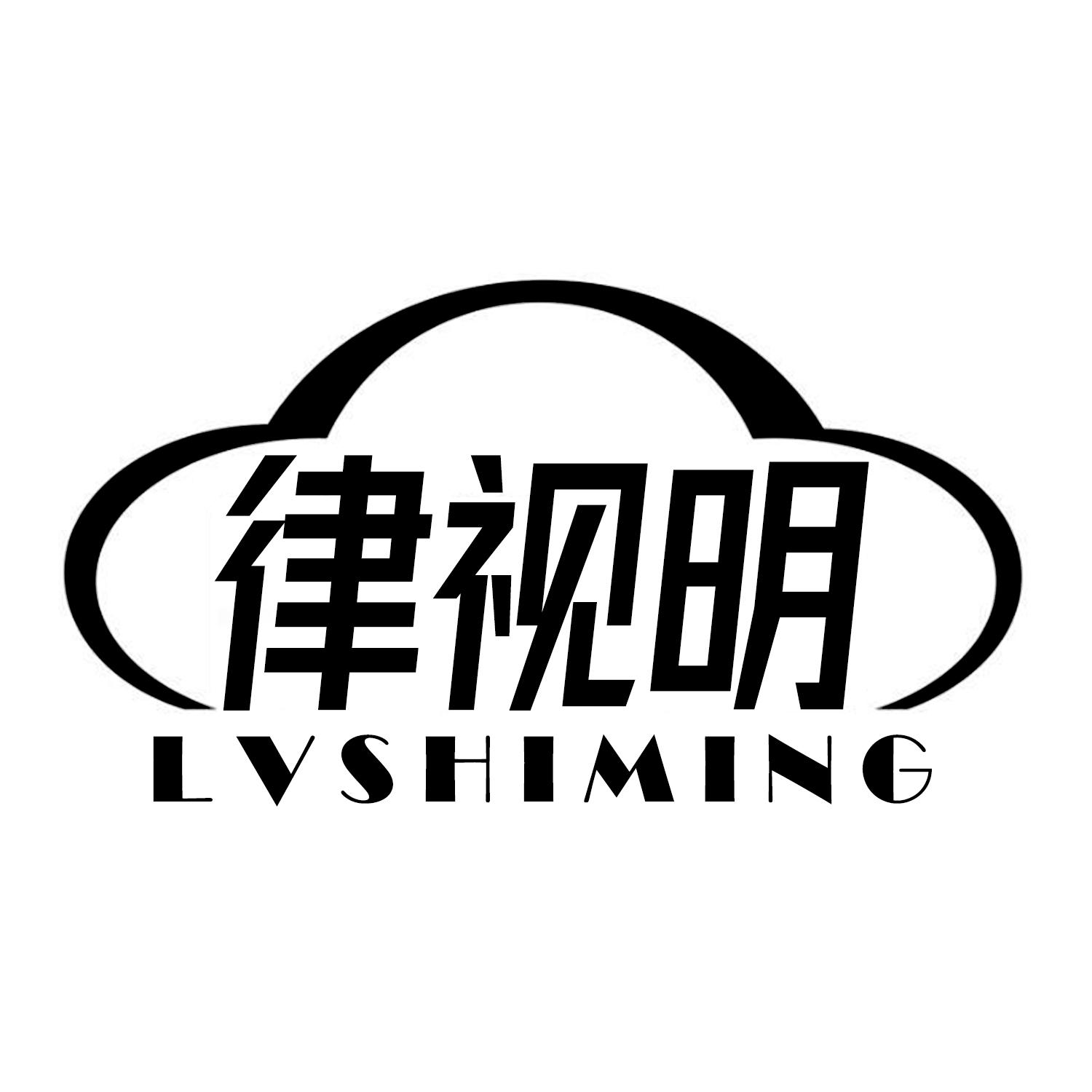 律视明