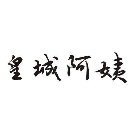 皇城阿姨