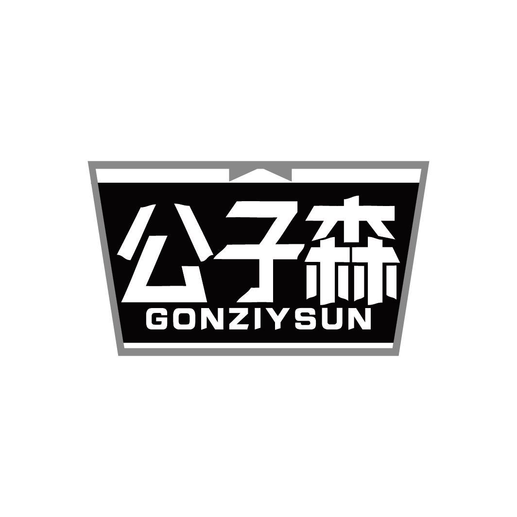公子森
GONZIYSUN