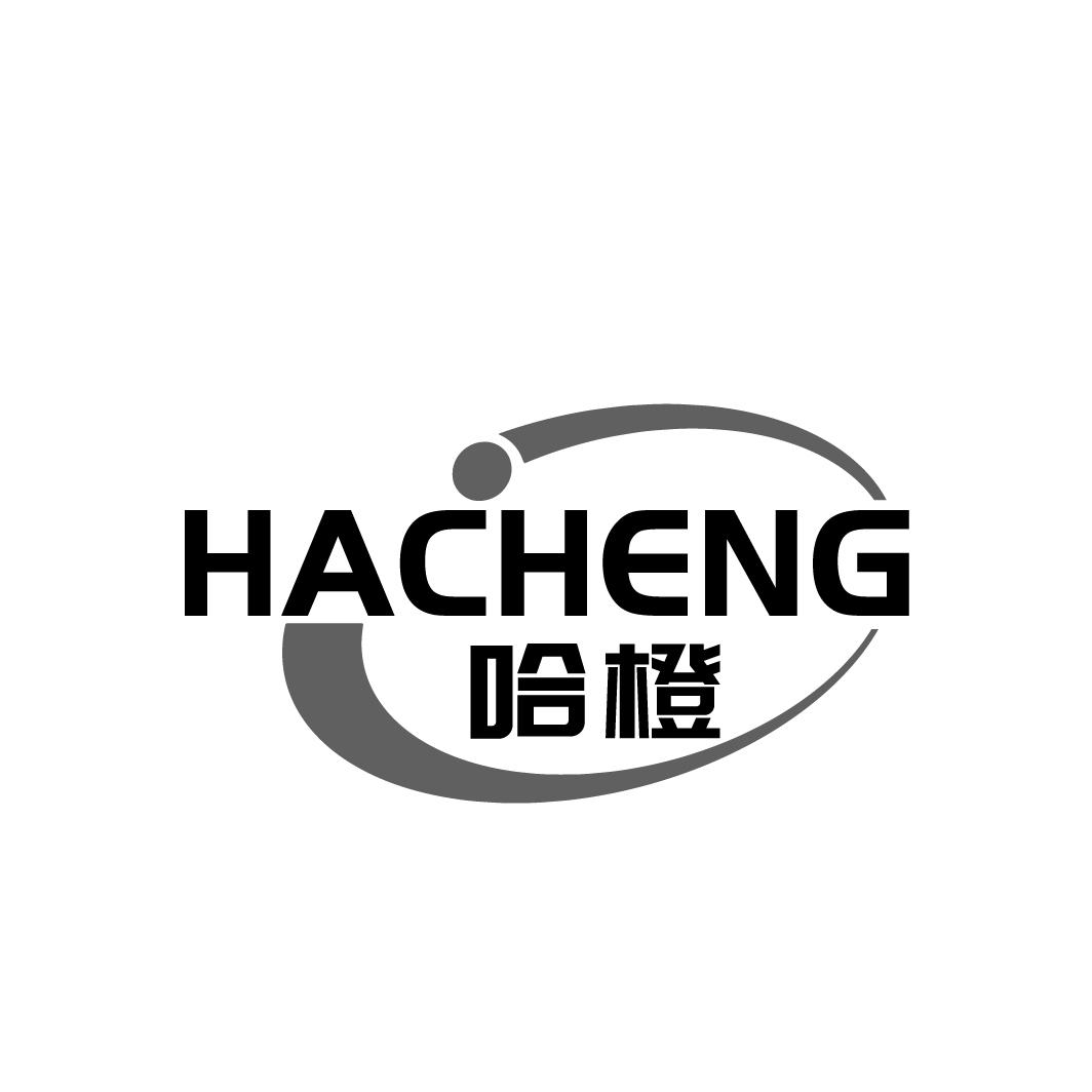 哈橙HACHENG