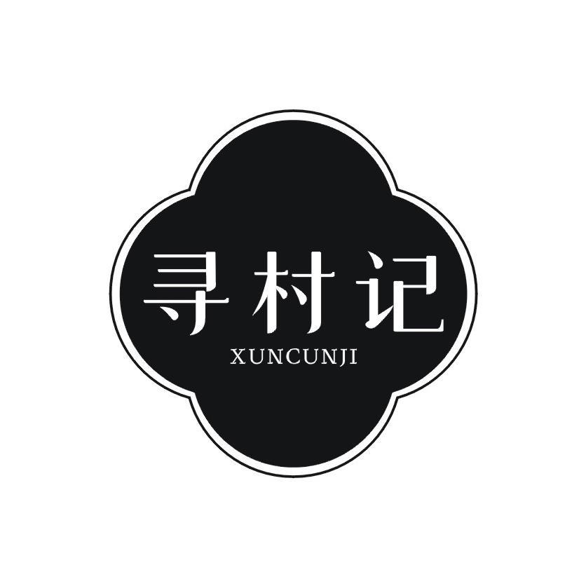 寻村记