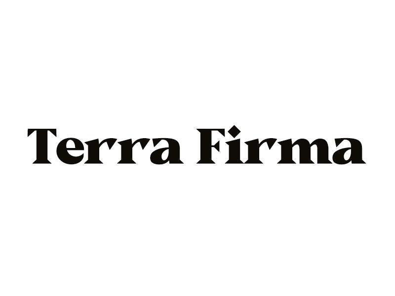 TERRA FIRMA   (译为：安全的陆地)