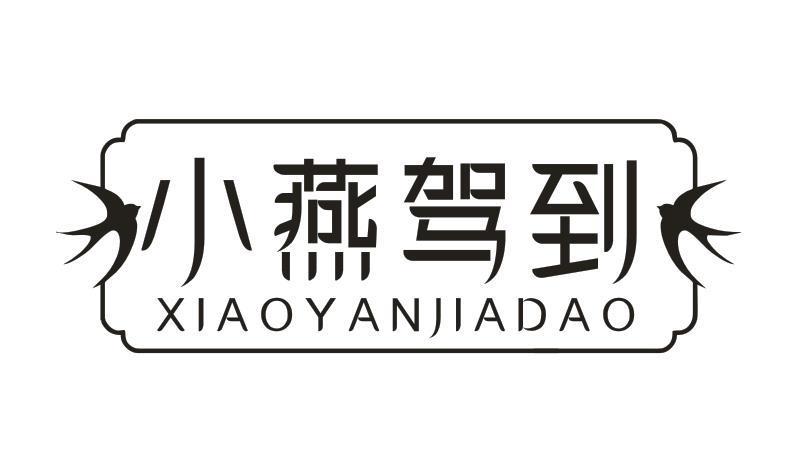 小燕驾到