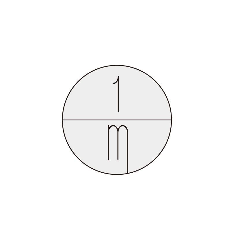 1M