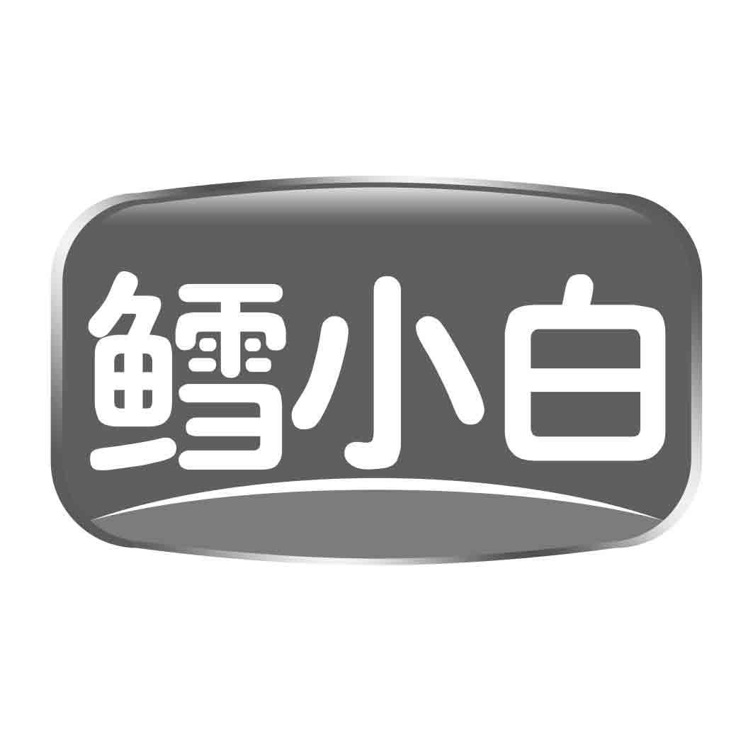 鳕小白