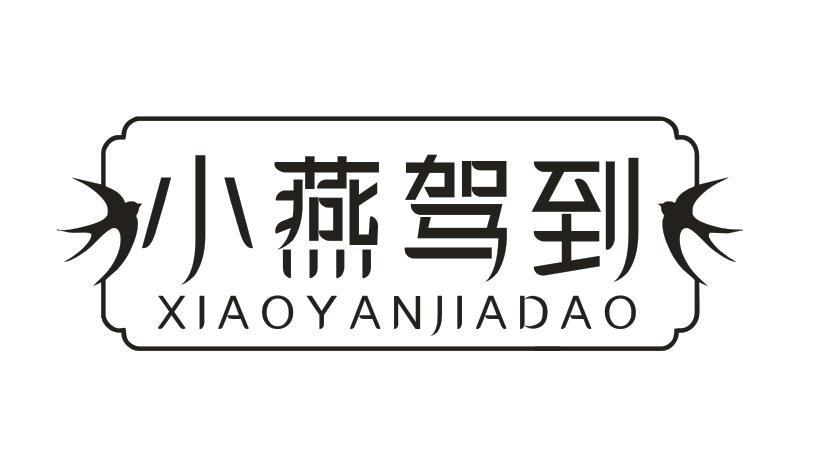 小燕驾到