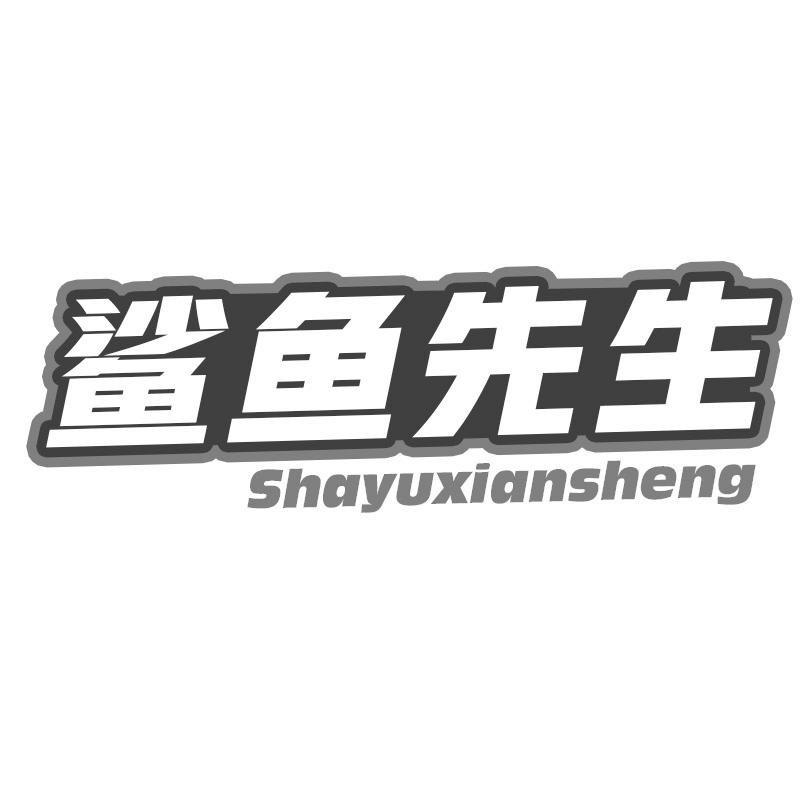 鲨鱼先生