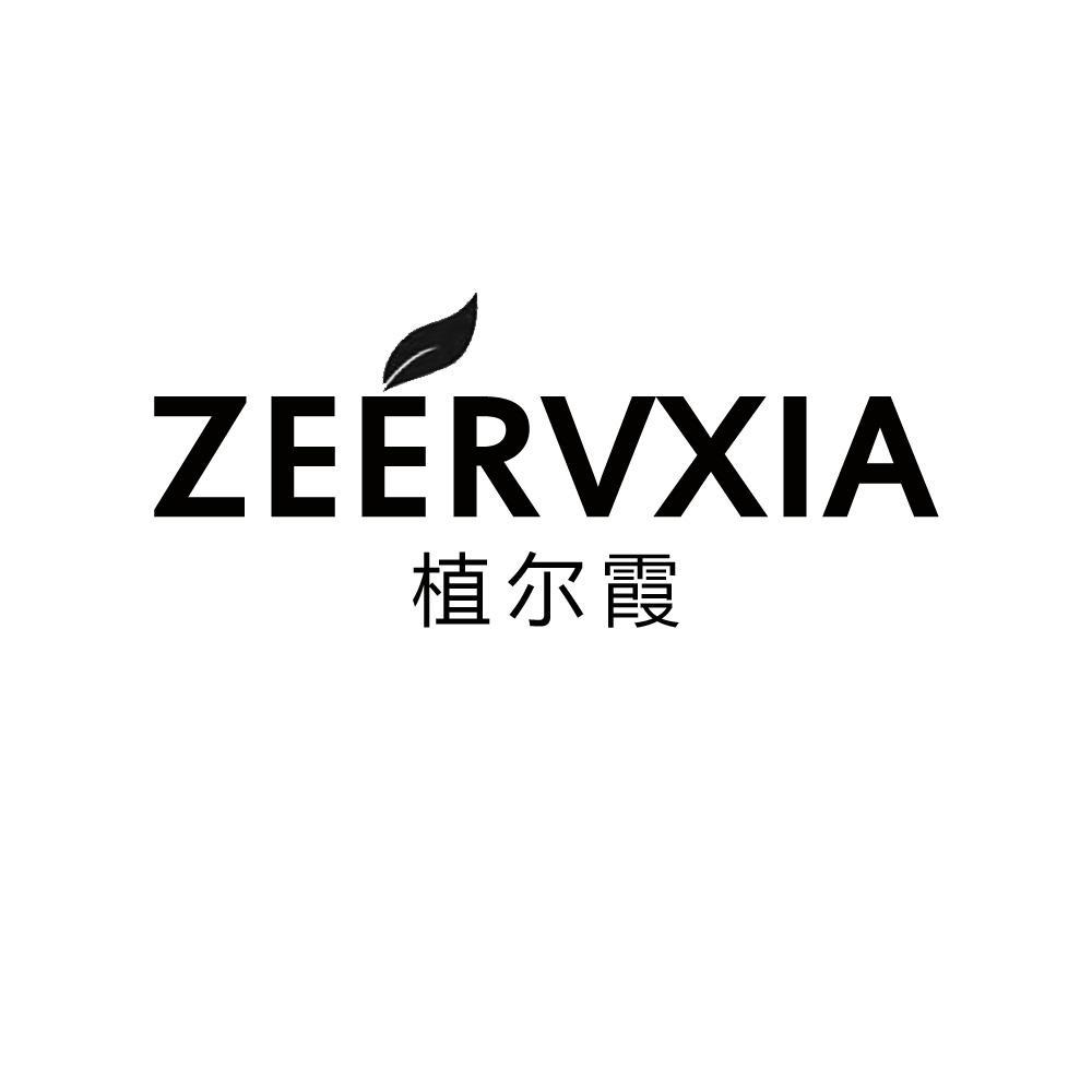 植尔霞