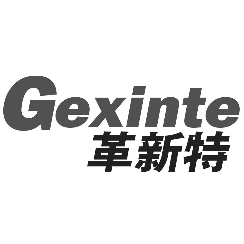 革新特