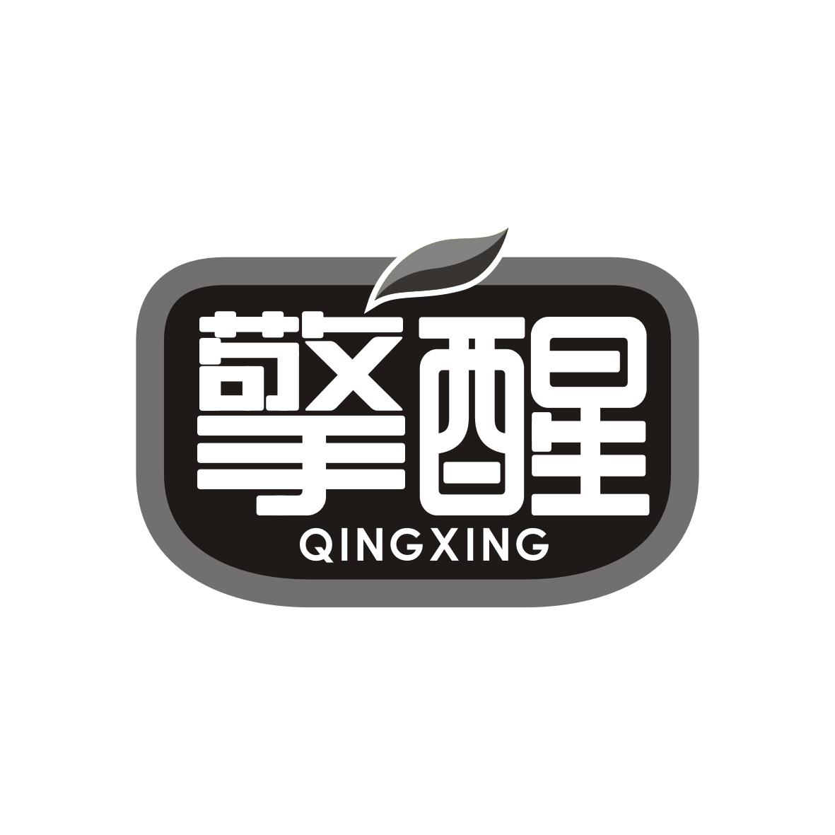 擎醒  QINGXING