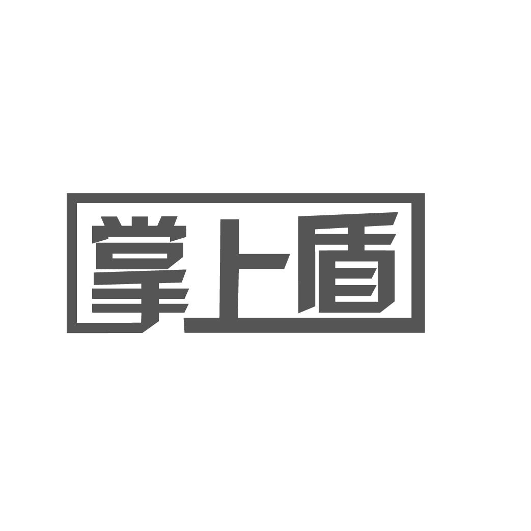 掌上盾