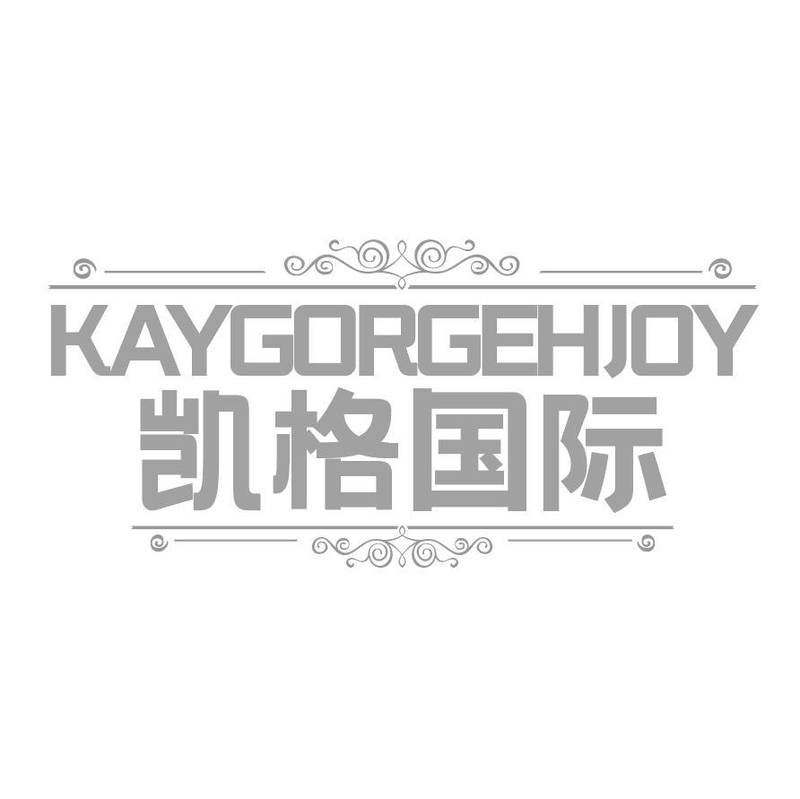 凯格国际 
KAYGORGEHJOY
