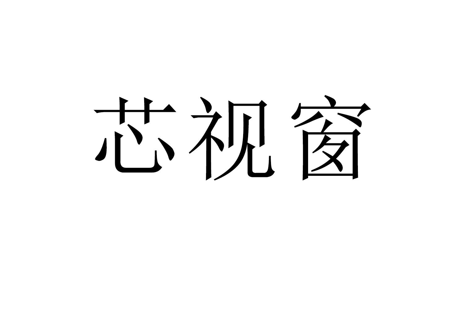 芯视窗