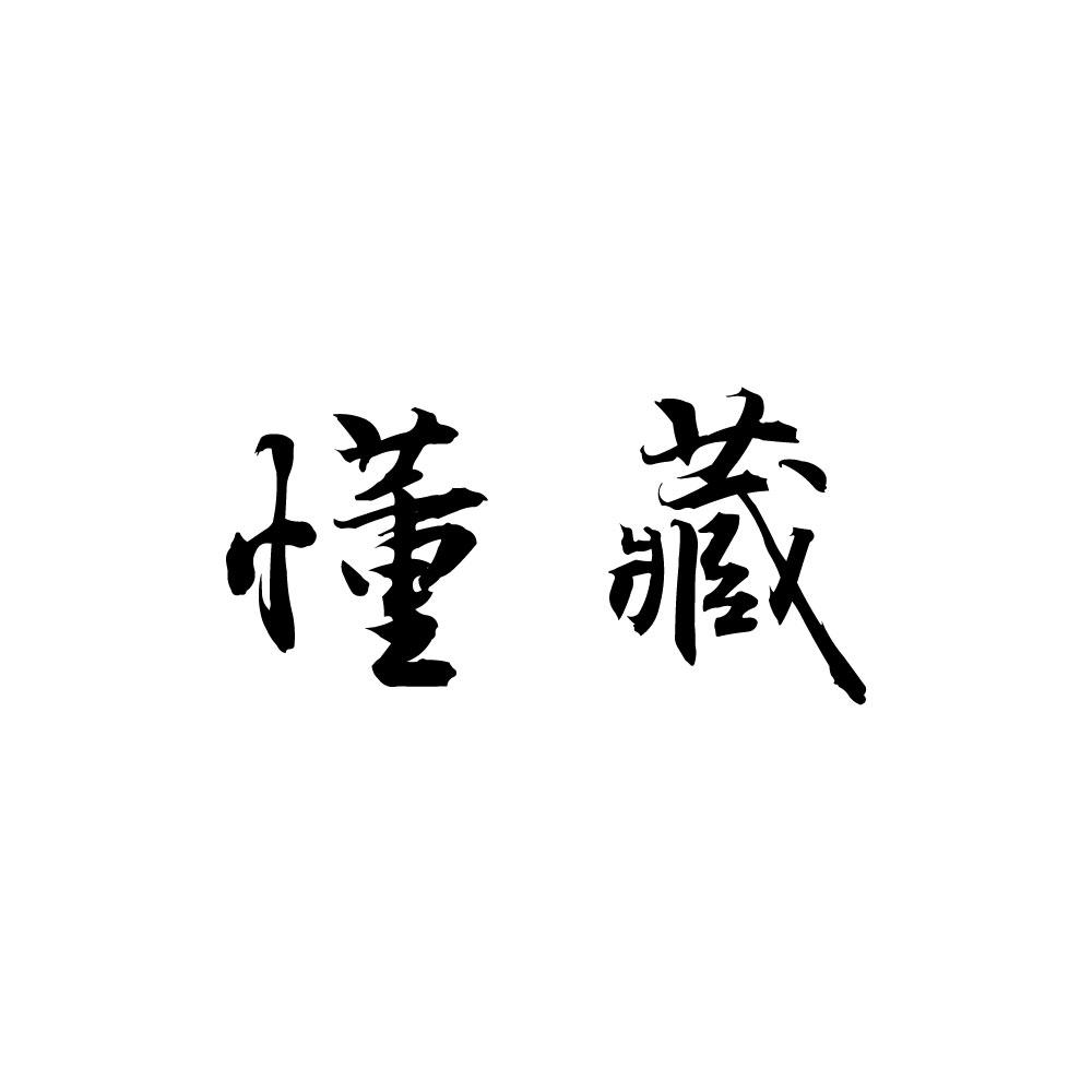 懂藏
