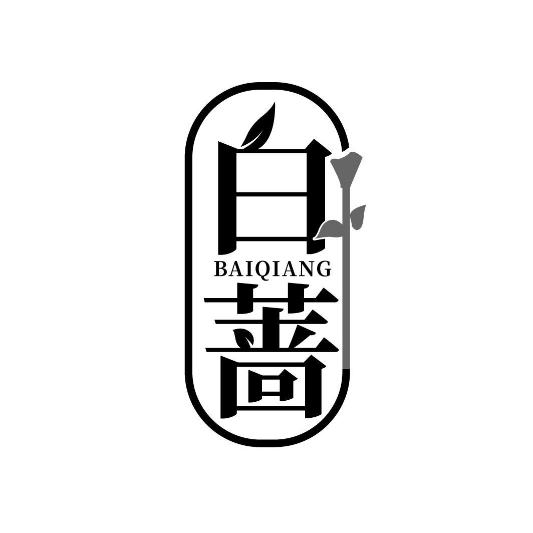 白蔷
BAIQIANG