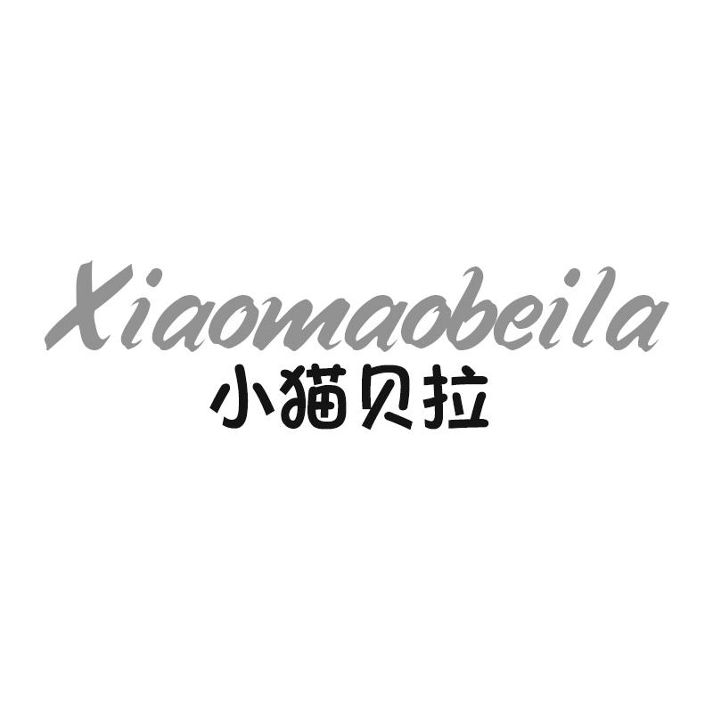 小猫贝拉