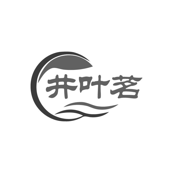 井叶茗