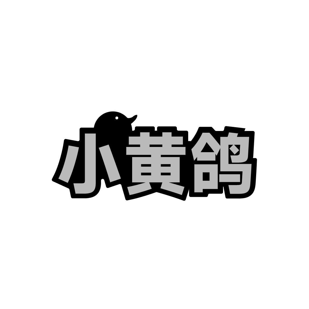 小黄鸽
