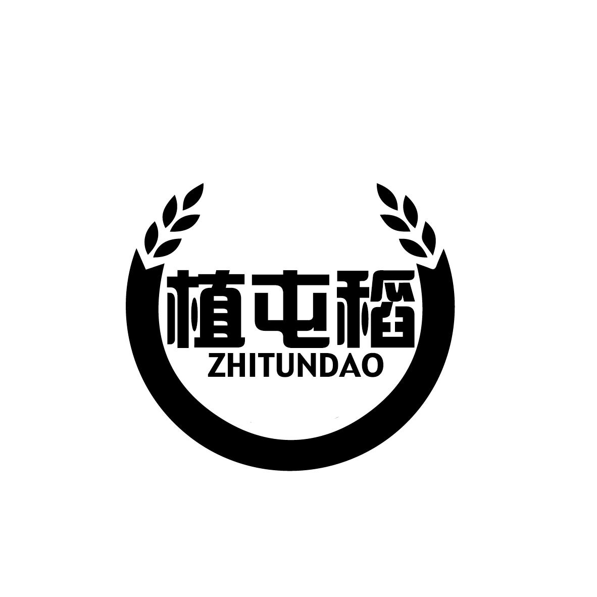 植屯稻