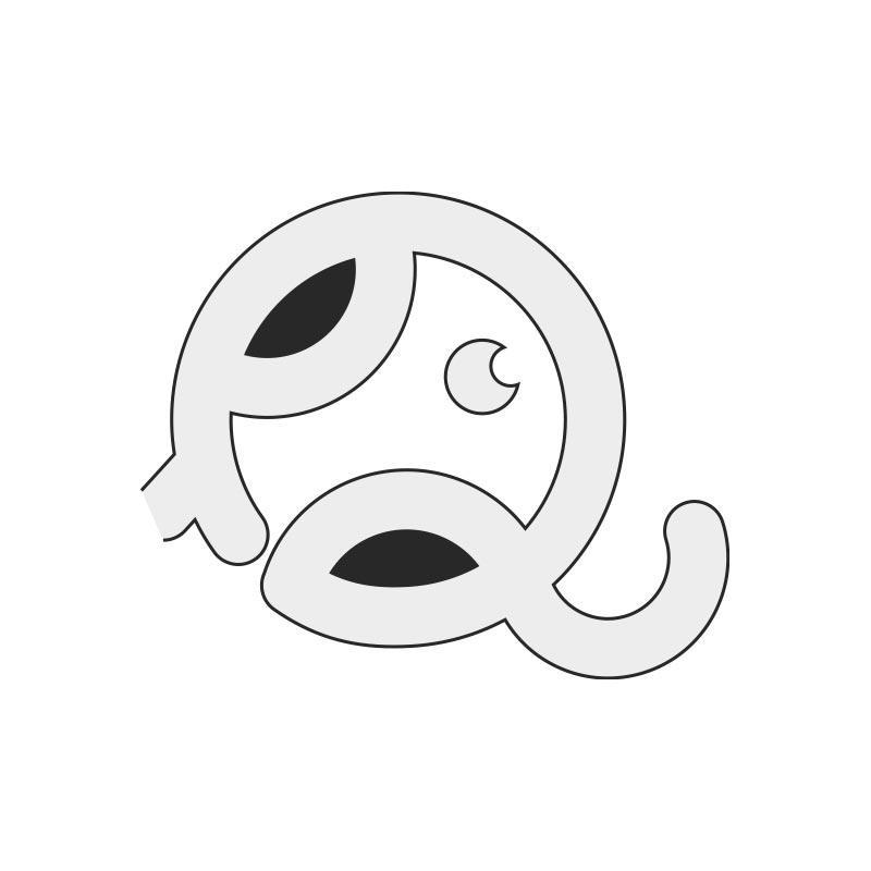 Q象