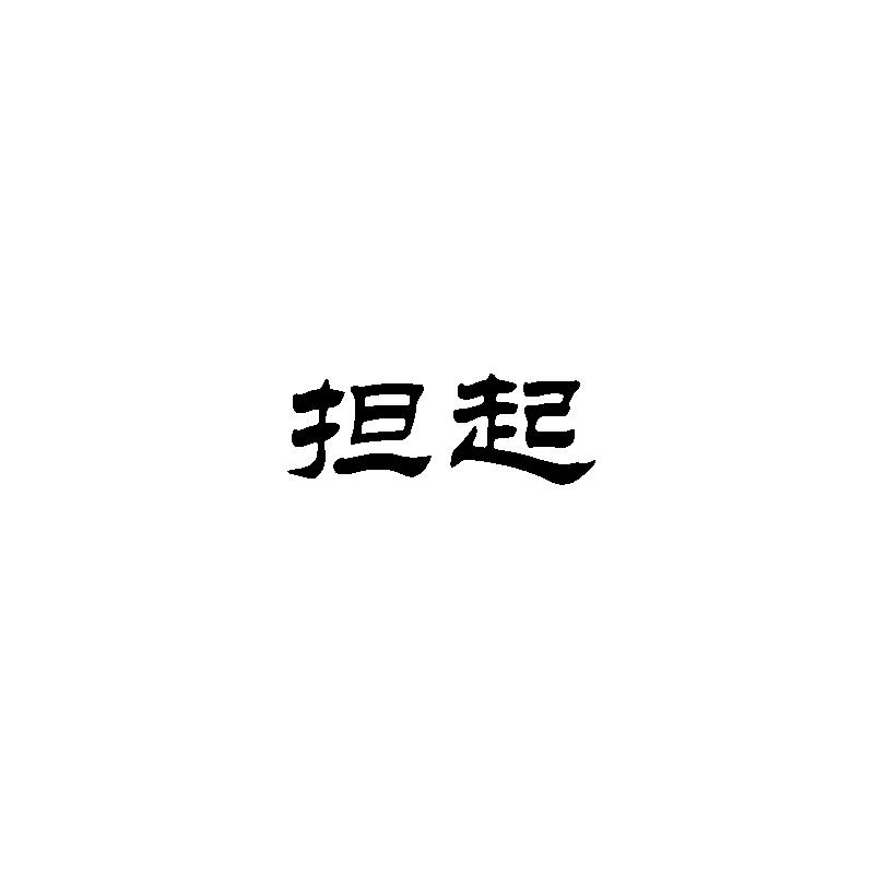 担起
