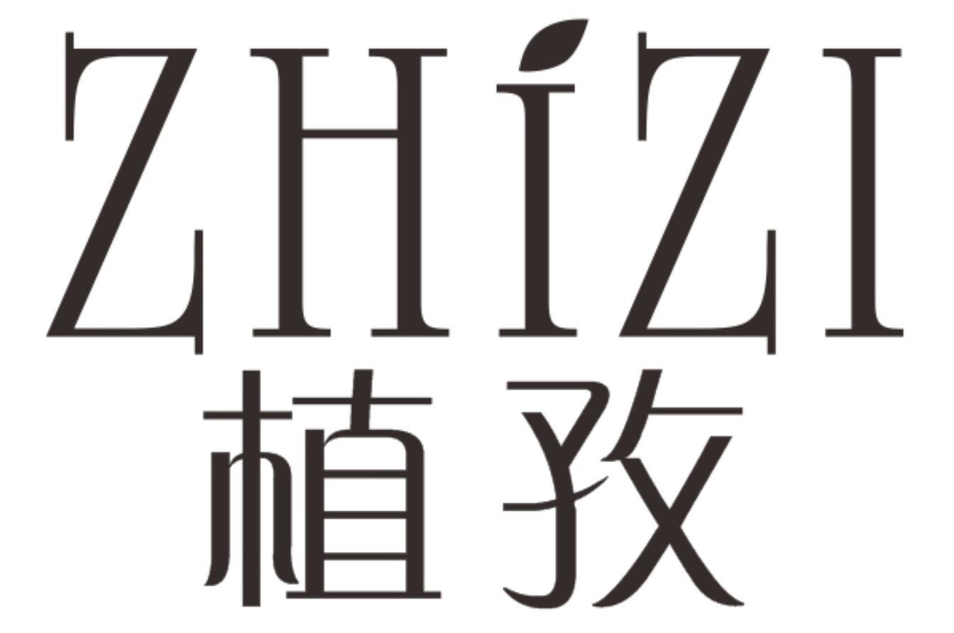 植孜ZHIZI