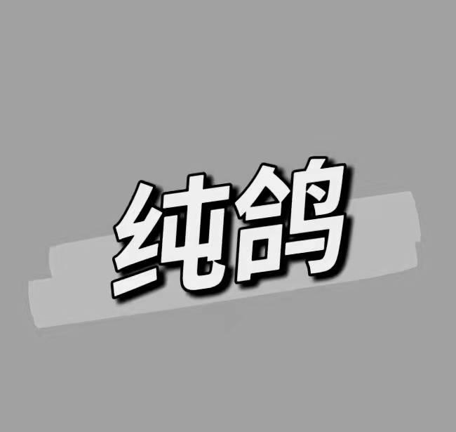 纯鸽