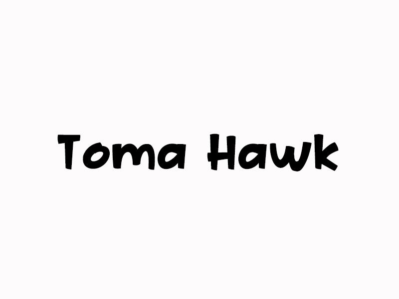 TOMAHAWK （译为：战斧）