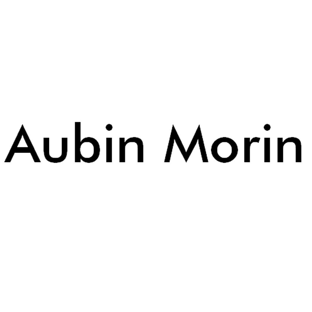 Aubin  Morin