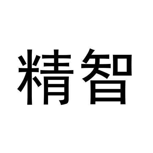 精智
