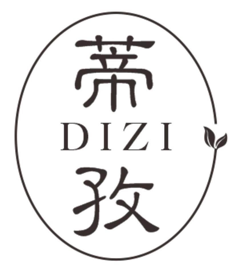 蒂孜DIZI