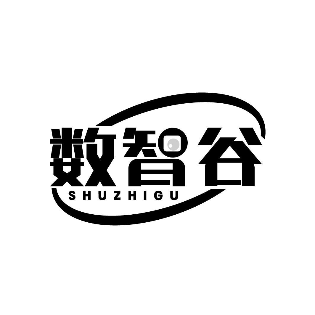 数智谷