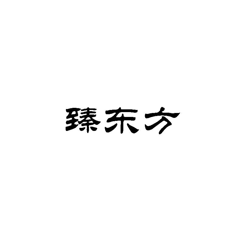 臻东方