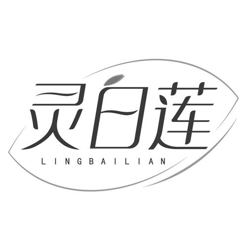 灵白莲