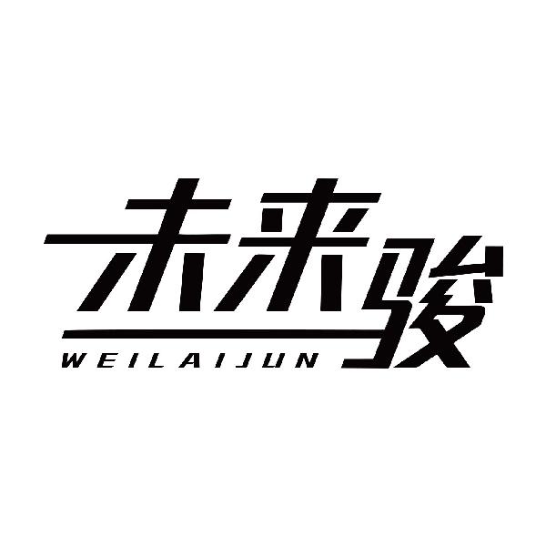 未来骏WEILAIJUN