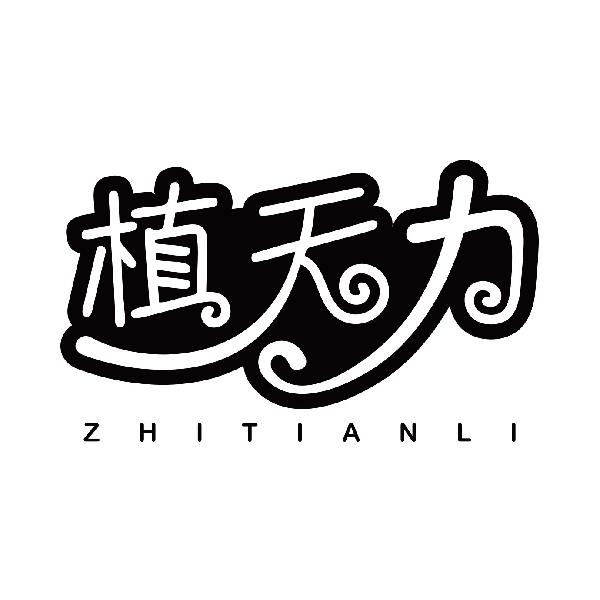 植天力ZHITIANLI