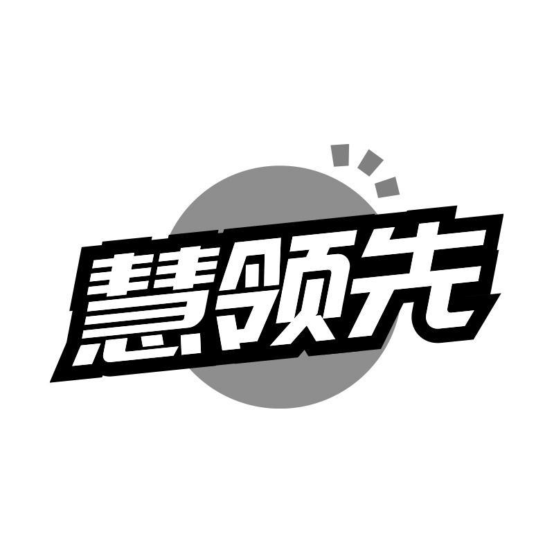 慧领先