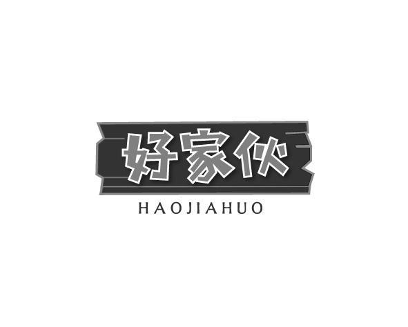 好家伙