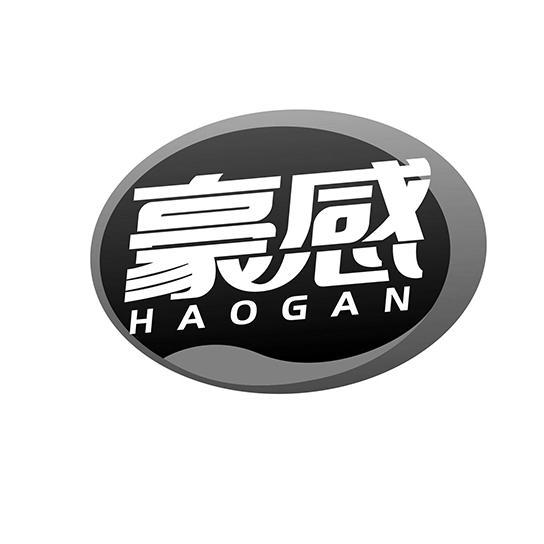 豪感HAOGAN