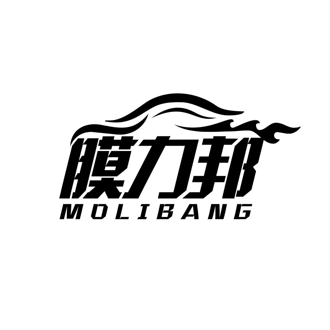膜力邦molibang