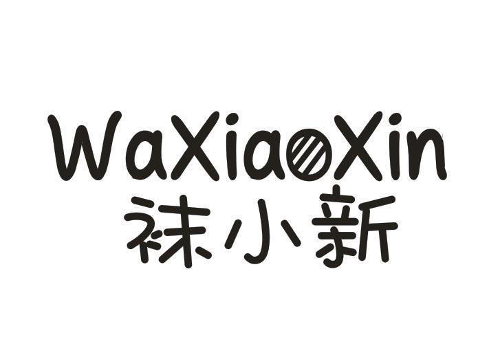 袜小新